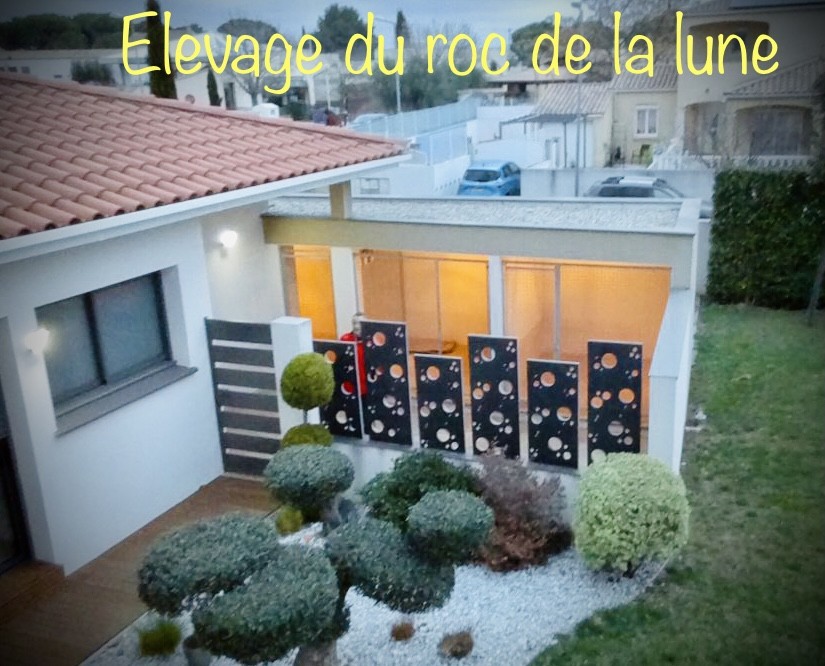 Du Roc De La Lune